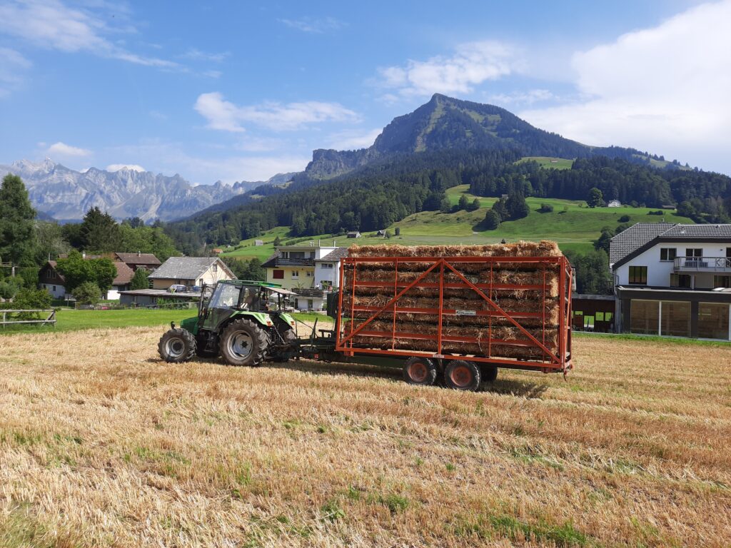 Alpsteinmühle
